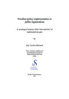 what is policy implementation pdf